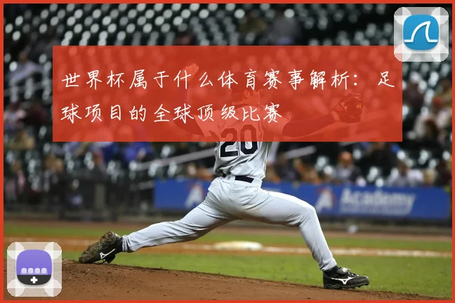 世界杯属于什么体育赛事解析：足球项目的全球顶级比赛