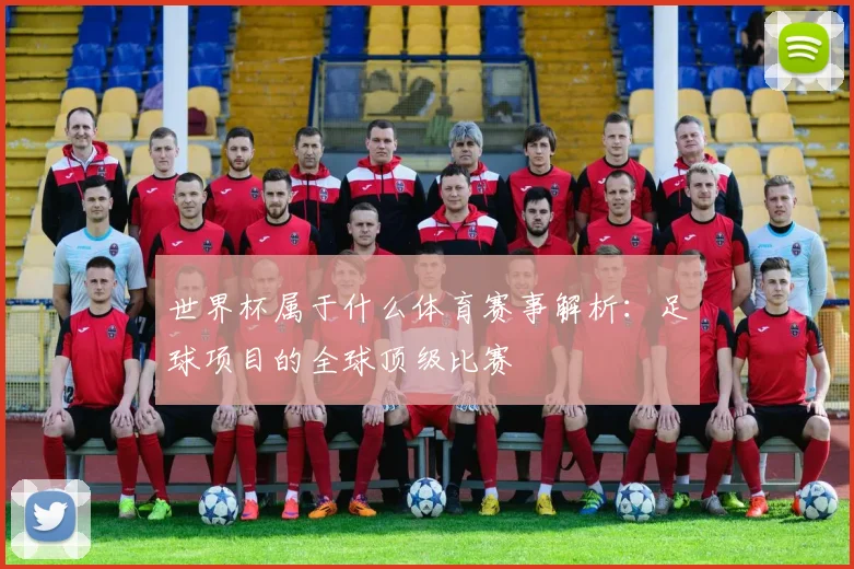 世界杯属于什么体育赛事解析：足球项目的全球顶级比赛