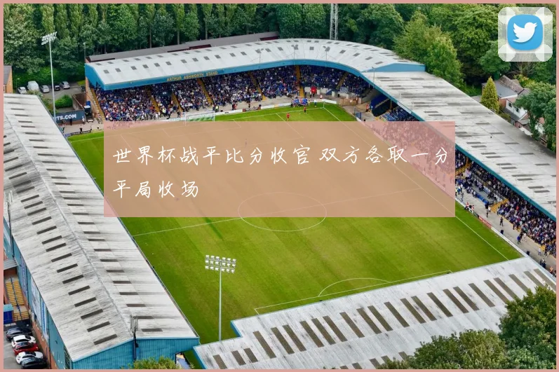 世界杯战平比分收官 双方各取一分平局收场