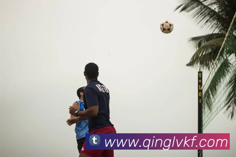 多媒体互动体验