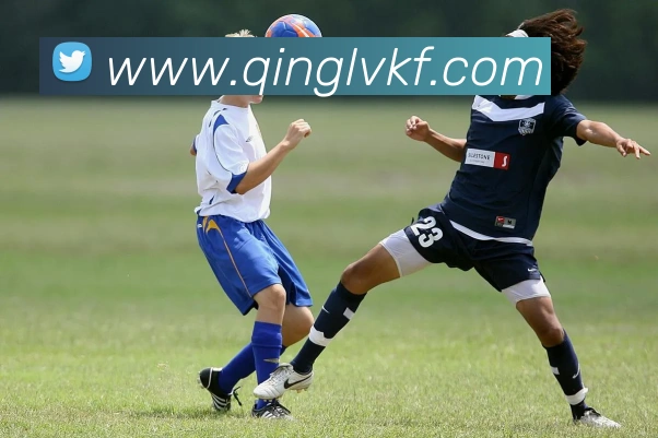 华体在线登录官网APP 高清赛事图