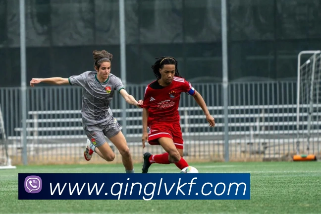 数据防护可视化